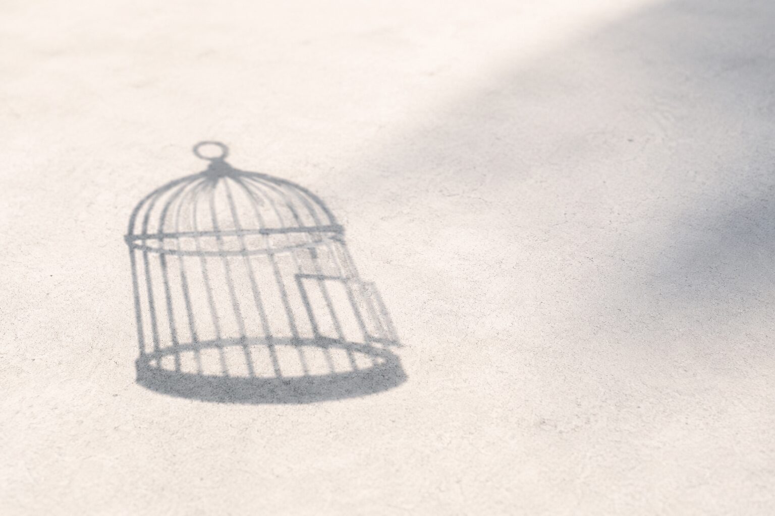 第3回：働き方編——履歴書のない社会は実現するのか？【『真に自由な』プロフェッショナリズムシリーズ】